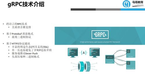 項(xiàng)目實(shí)戰(zhàn) 用go構(gòu)建微服務(wù)
